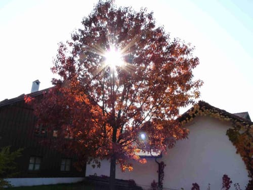 Simbach am Inn - Gschöd - Oberham - Reith - Oberölling - Straß