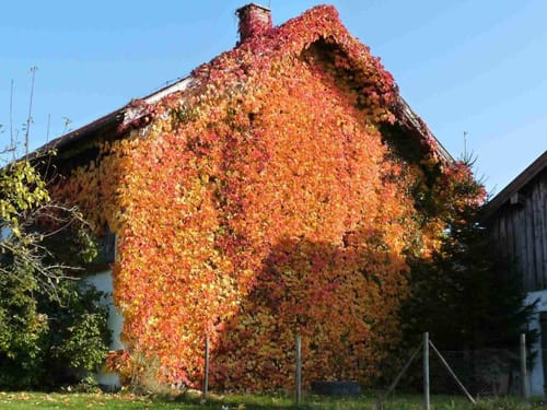 Simbach am Inn - Gschöd - Oberham - Reith - Oberölling - Straß