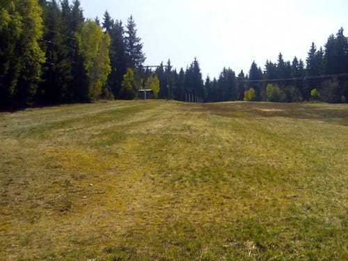 Steinbach am Wald