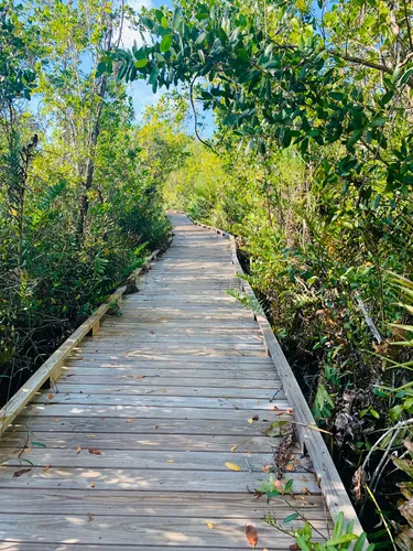 10 Best Trails and Hikes in Naples | AllTrails