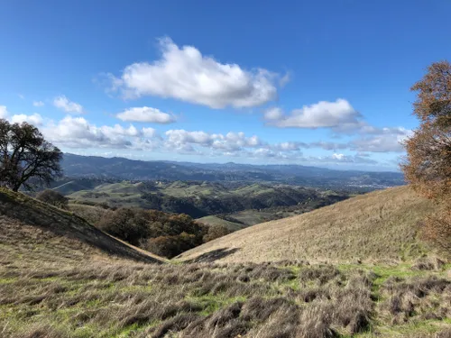 Best Short Trails in Mount Diablo State Park | AllTrails