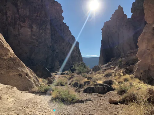 10 Best Hikes and Trails in Mojave National Preserve AllTrails