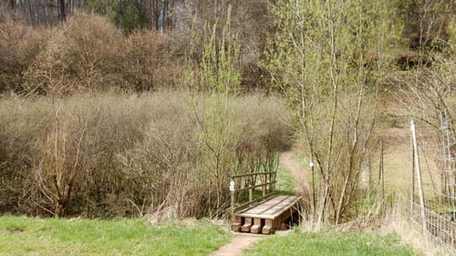 Clausen C3