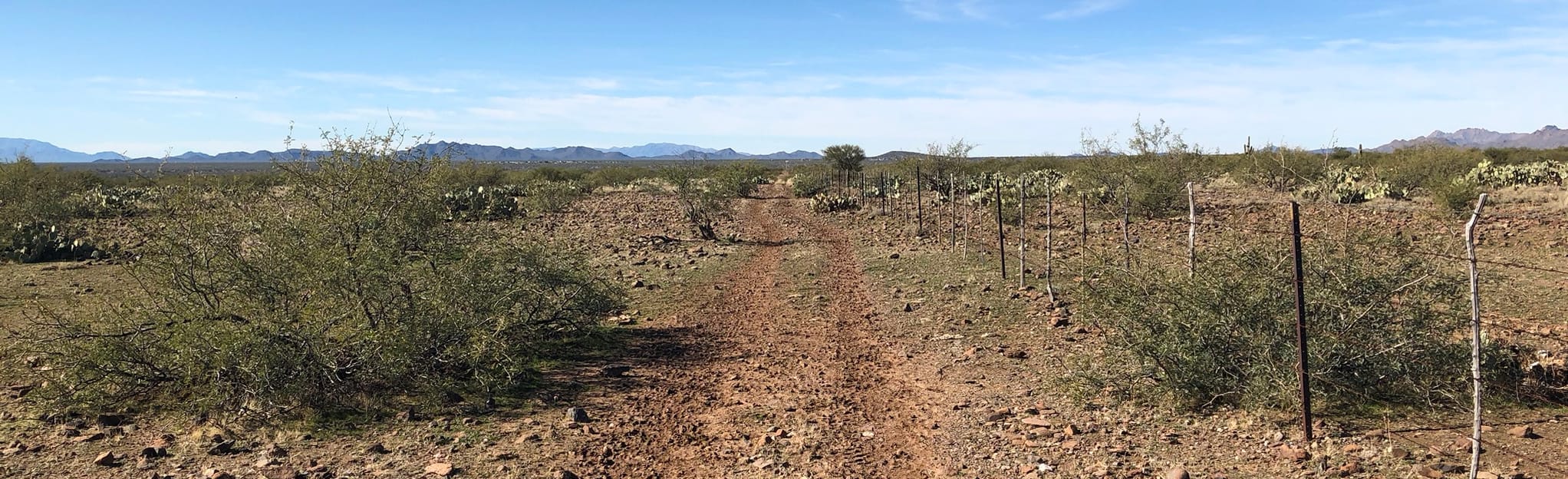 North Ranch Trail 11 Reviews, Map Arizona AllTrails