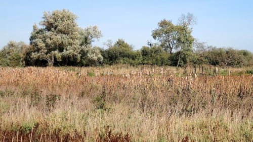 Aus Wunstorf zum Steinhuder Meer