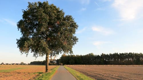 Wunstorf zum Steinhuder Meer