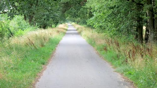 Waldroute Sülldorf
