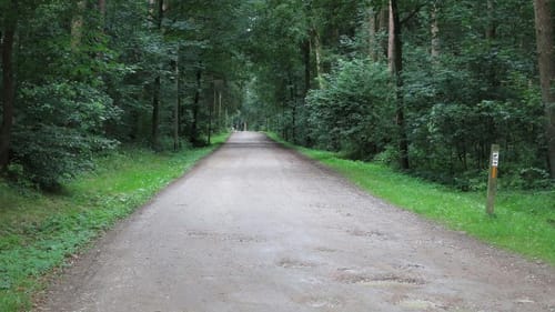 Radweg 18 Jesteburg