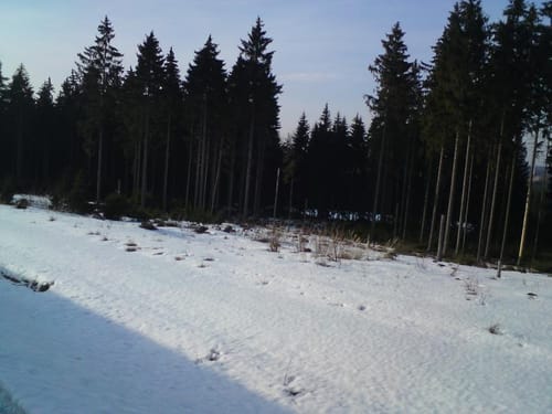 Selb-Lauterbach-Rehau-Schönwald
