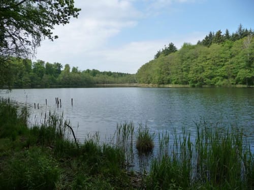 Um Gliensee und Rohrteich