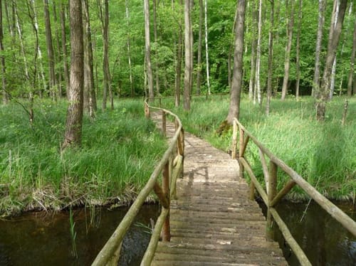 Um Gliensee und Rohrteich