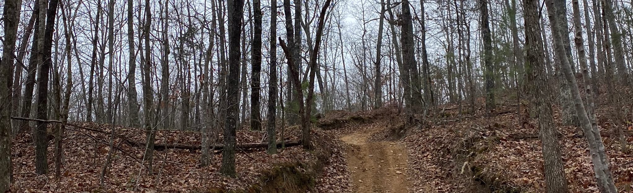 Plantation Ridge Trail Loop 9 Reviews, Map AllTrails