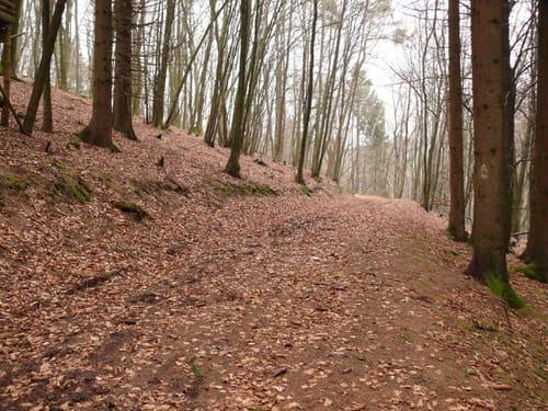 Runde Löffelsterz