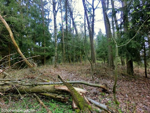 Mistelbach Rundwanderweg: Durch den Bauersgraben