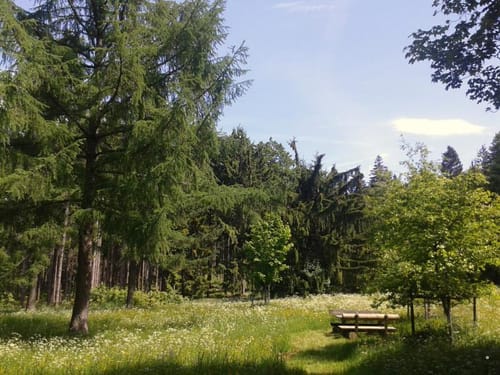Radrundweg Bayreuth BT 33