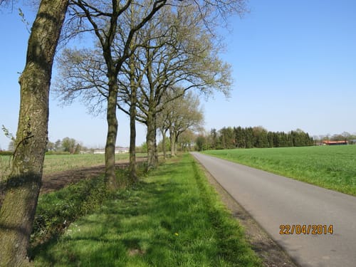 Westerstede - Westerstederfeld