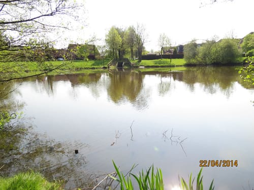 Westerstede - Westerstederfeld