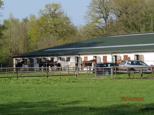 Westerstede - Westerstederfeld
