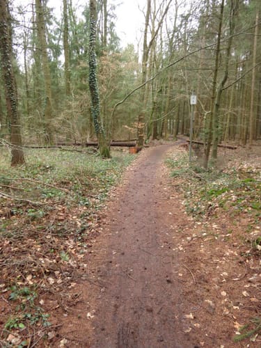 Runde um Südholt