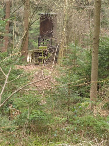Runde um Südholt