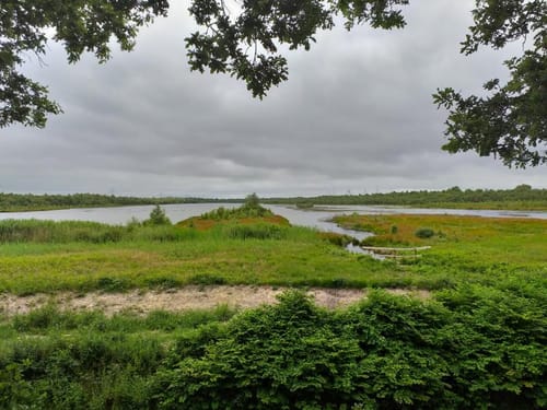 Runde ab Uplengen- Neudorfer Moor