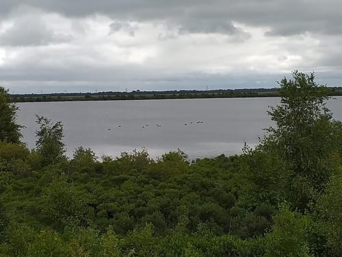 Runde ab Uplengen- Neudorfer Moor