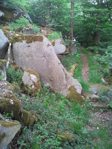 Cham: Großer Buchberg und Schloßberg