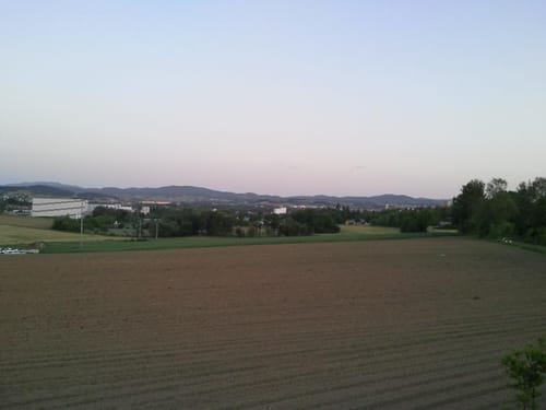 Cham: Großer Buchberg und Schloßberg