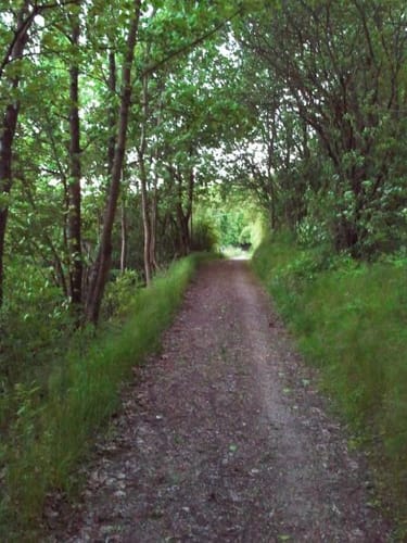 Cham: Großer Buchberg und Schloßberg