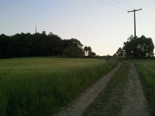 Cham: Großer Buchberg und Schloßberg