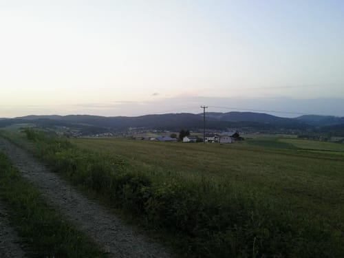 Cham: Großer Buchberg und Schloßberg