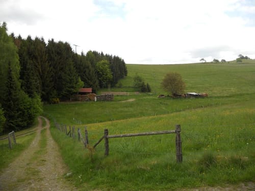 Rundwanderung Limbach Kroppacher Schweiz