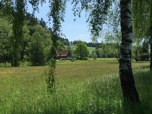 Von Breckerfeld  nach Halver