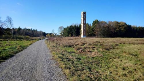 MTB: Wilhelmsdorf - Königseggwald - Ebenweiler - Feldmoos