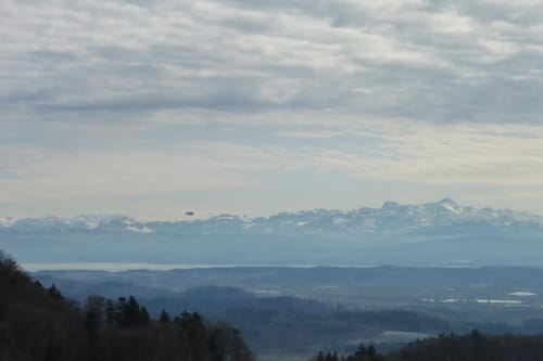MTB: Wilhelmsdorf - Königseggwald - Ebenweiler - Feldmoos