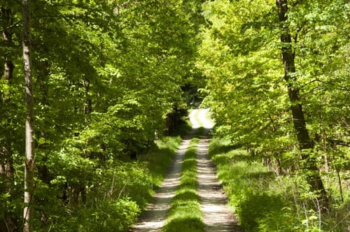 Rundweg zum Eichelberg