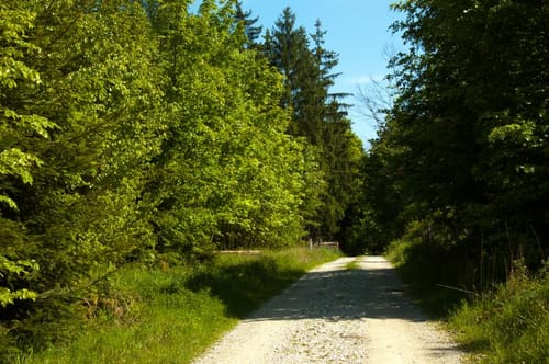 Rundweg zum Eichelberg