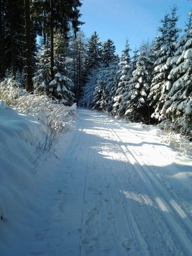 Hohe Bracht - Rundloipe und Kreggenbergschleife