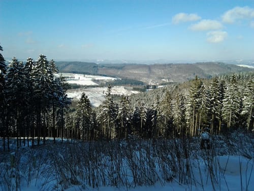 Hohe Bracht - Rundloipe und Kreggenbergschleife