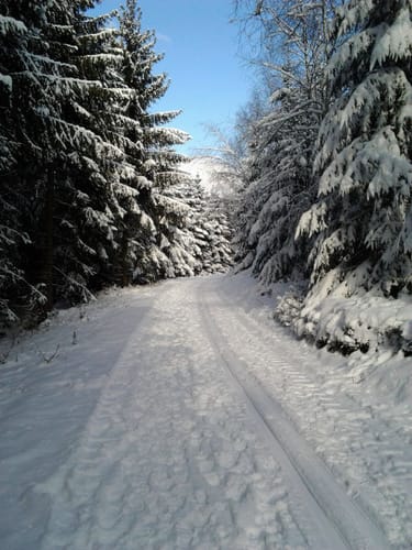 Hohe Bracht - Rundloipe und Kreggenbergschleife