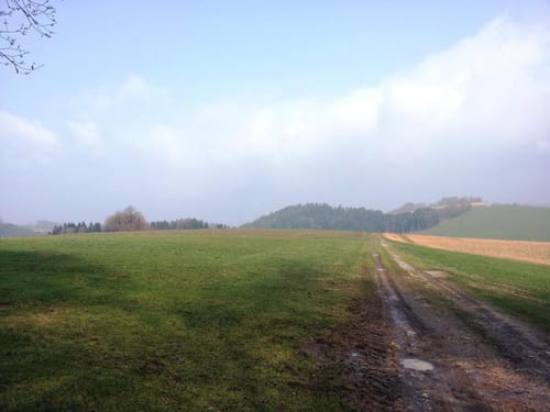Fürstenecker Triftsteig