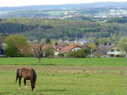 Unterhausen-Niederelbert