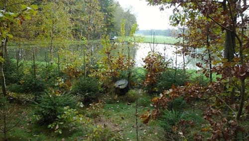 Auf Alter Bahnstrecke im Beuthaer Wald