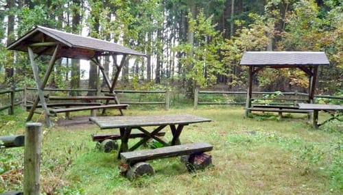 Auf Alter Bahnstrecke im Beuthaer Wald