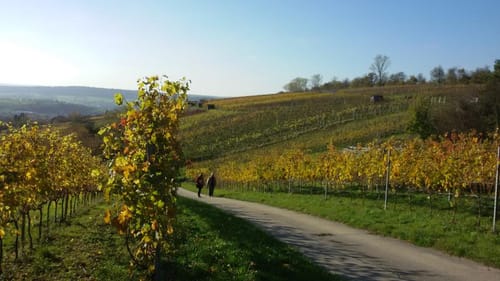 Vom Steinbruch Dietlingen nach Königsbach