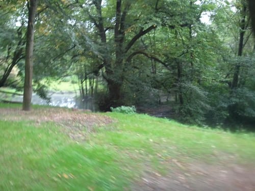 Von Königsbach über Remchingen