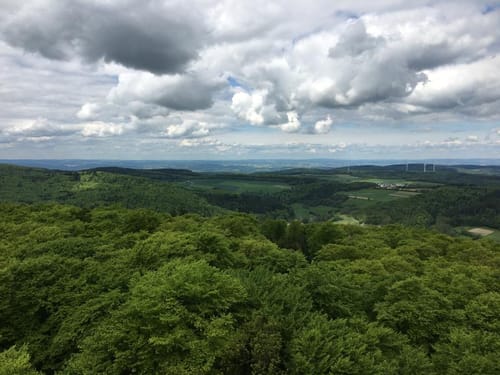 Taunus: Seelenberg - Pferdskopf - Treisberg - Seelenberg