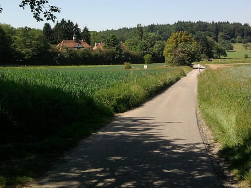 Von Königsbach über Remchingen