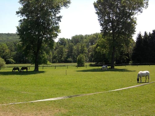 Von Königsbach über Remchingen