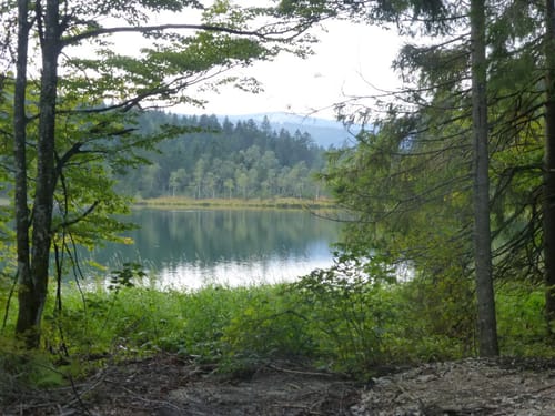 Adlgaß - Frillensee - Steineralm